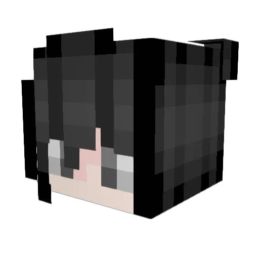 HACKEDBYELITE Minecraft avatar head, 3D render