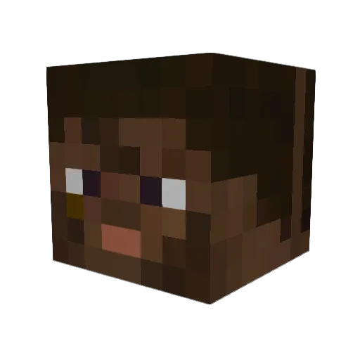 HACKEDBYTWEENS Minecraft avatar head, 3D render