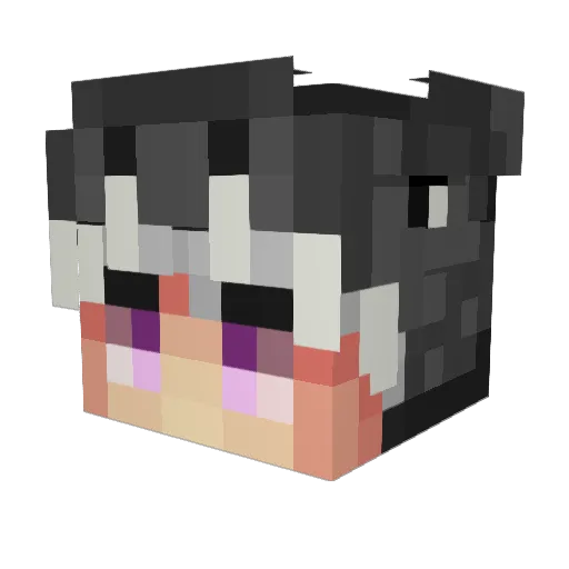 HACKER1337PL Minecraft avatar head, 3D render