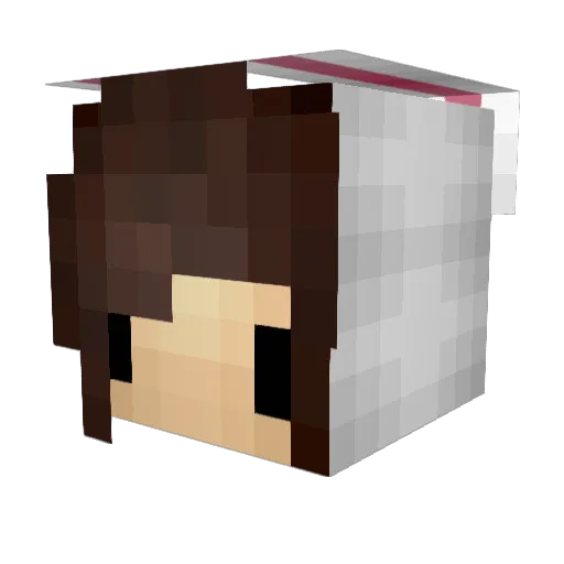 HACKERMANLOL Minecraft avatar head, 3D render