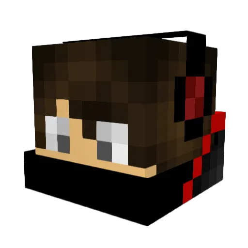 HACKINGISNOTCOOL Minecraft avatar head, 3D render
