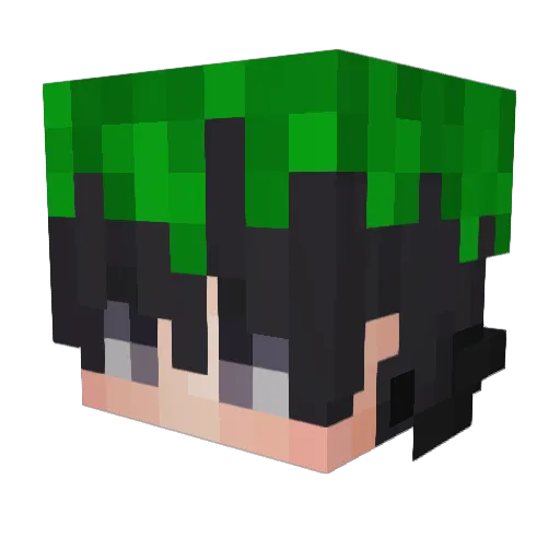 HACKSAWGAMINGS Minecraft avatar head, 3D render