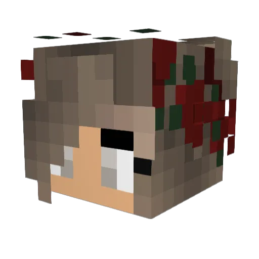 HADA110 Minecraft avatar head, 3D render