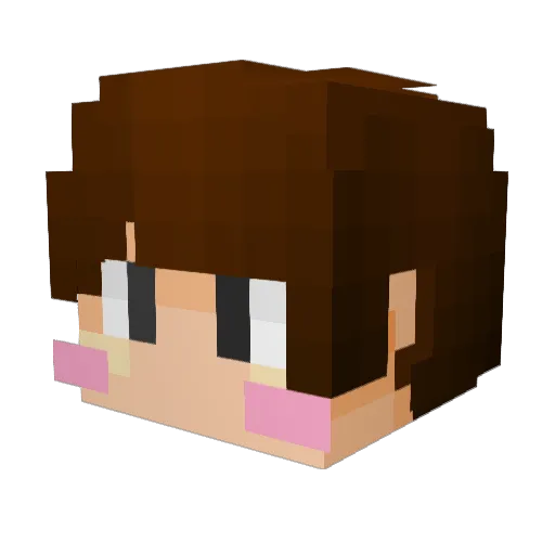 HALFBOY0323 Minecraft avatar head, 3D render