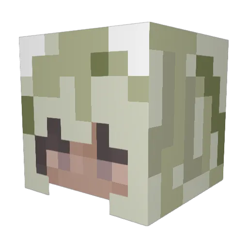 HALINA2000 Minecraft avatar head, 3D render