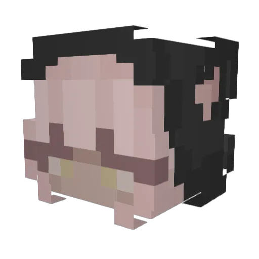 HALIR4YS Minecraft avatar head, 3D render