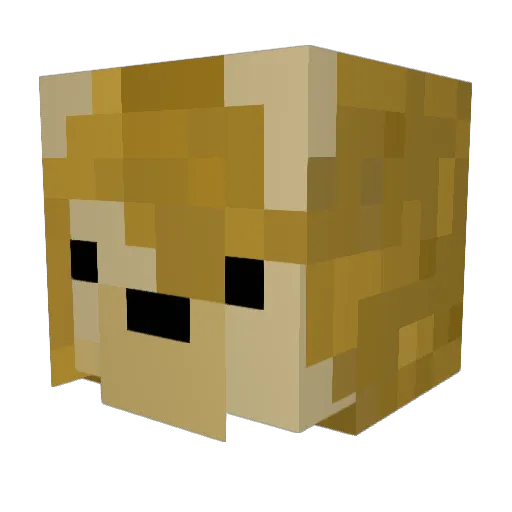 HALL5ND Minecraft avatar head, 3D render