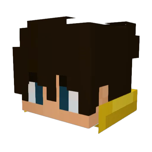 HAMPTER79 Minecraft avatar head, 3D render