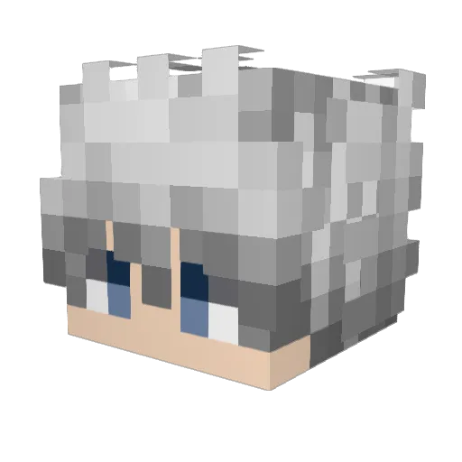 HAN6_ Minecraft avatar head, 3D render
