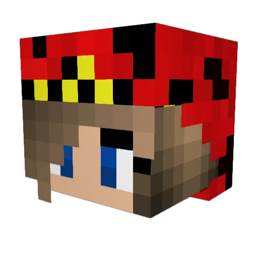 HANA2013 Minecraft avatar head, 3D render