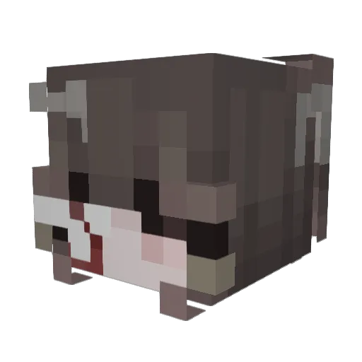 HANAB1219 Minecraft avatar head, 3D render