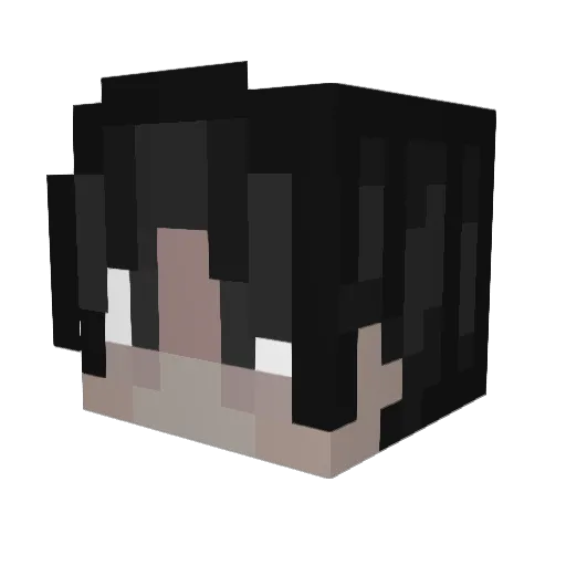 HANCRUISE Minecraft avatar head, 3D render