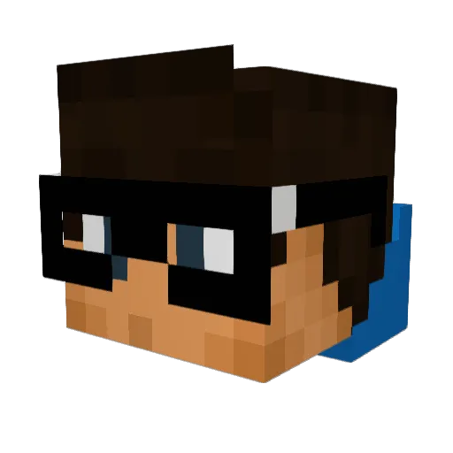 HANDYCAP_PANDA Minecraft avatar head, 3D render