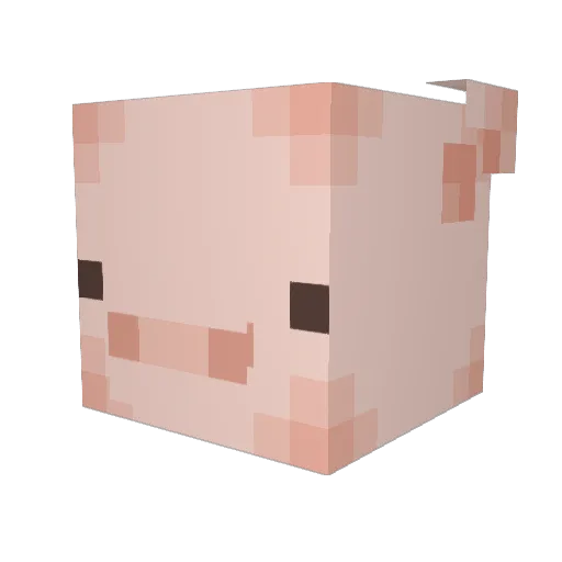 HANNY2 Minecraft avatar head, 3D render