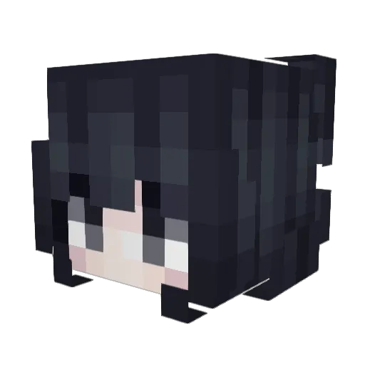HAODADEDAJIBA Minecraft avatar head, 3D render