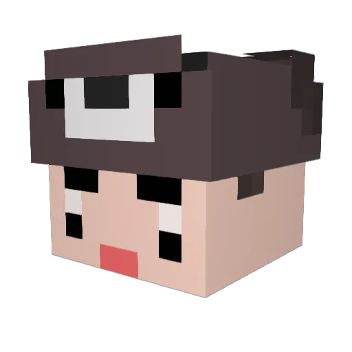 HAOcc Minecraft avatar head, 3D render