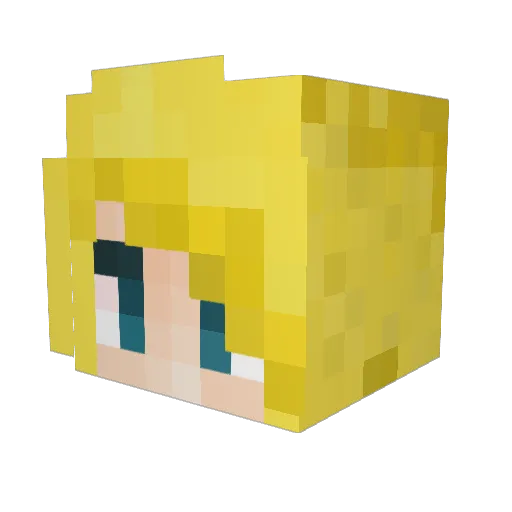 HAPPYBDAYFRANKA Minecraft avatar head, 3D render