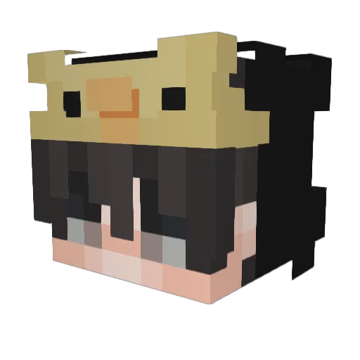 HAQUA8570 Minecraft avatar head, 3D render