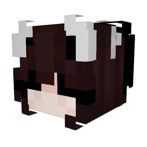 HARDERD4DDY Minecraft avatar head, 3D render