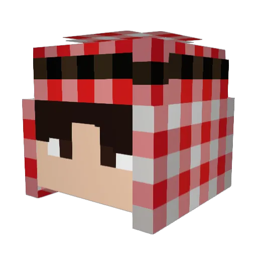 HASBARX Minecraft avatar head, 3D render