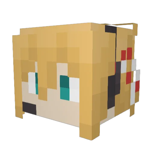 HASETON Minecraft avatar head, 3D render