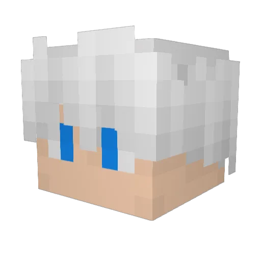 HASH1M0N Minecraft avatar head, 3D render
