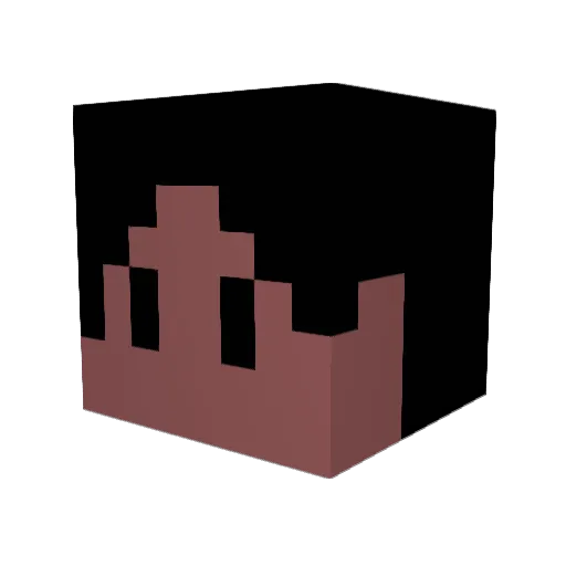 HASHI2 Minecraft avatar head, 3D render