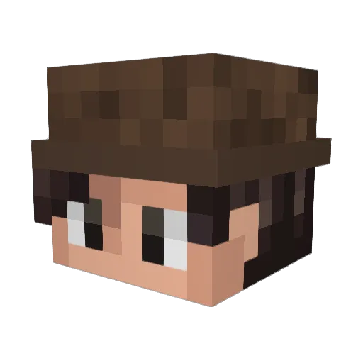 HAT_GAY Minecraft avatar head, 3D render