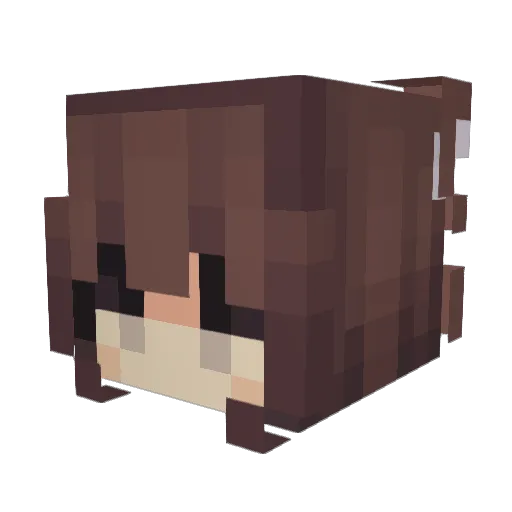 HATlES Minecraft avatar head, 3D render