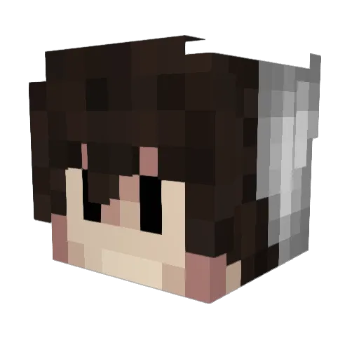 HAUCHI46 Minecraft avatar head, 3D render