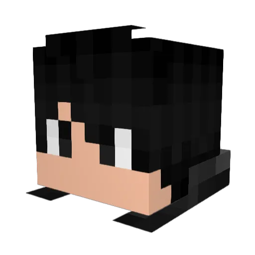 HAVOC308 Minecraft avatar head, 3D render