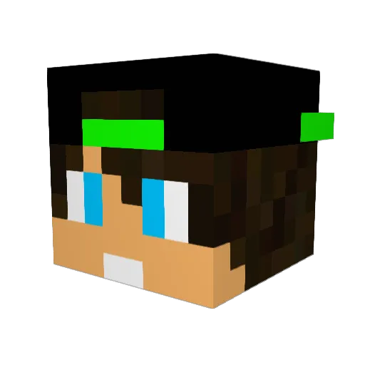 HAV_982 Minecraft avatar head, 3D render