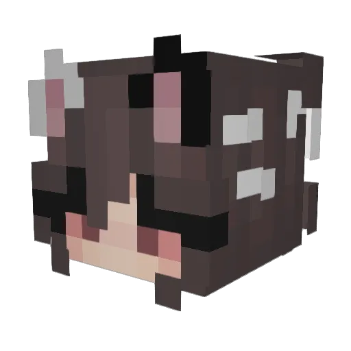 HAWUPUP Minecraft avatar head, 3D render