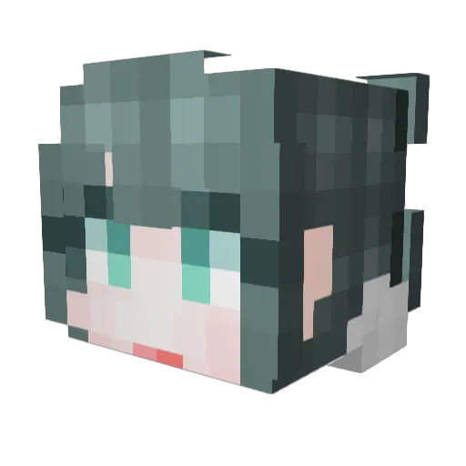 HAYO84 Minecraft avatar head, 3D render