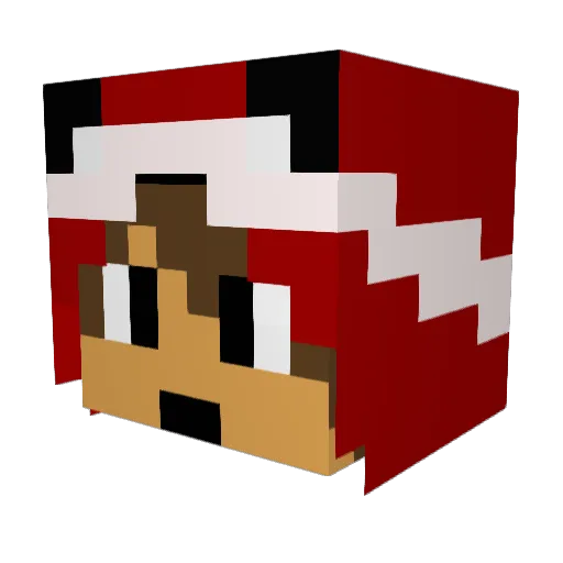 HAYPIXEL_PVP Minecraft avatar head, 3D render
