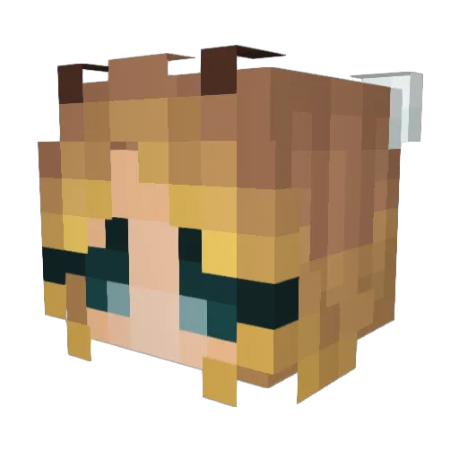 HA_K5 Minecraft avatar head, 3D render