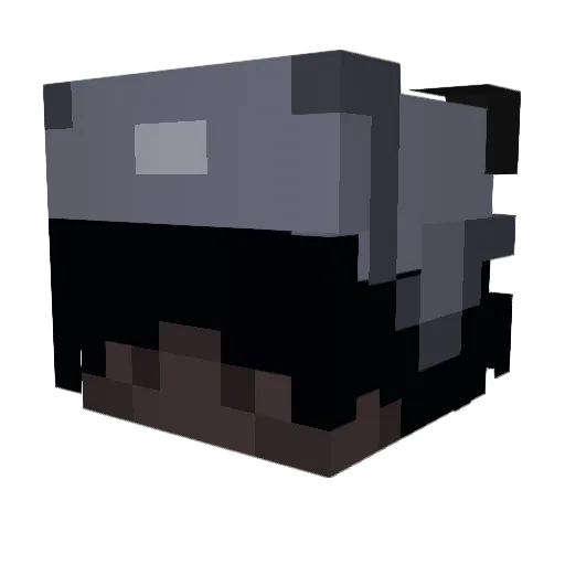 HAnA848 Minecraft avatar head, 3D render