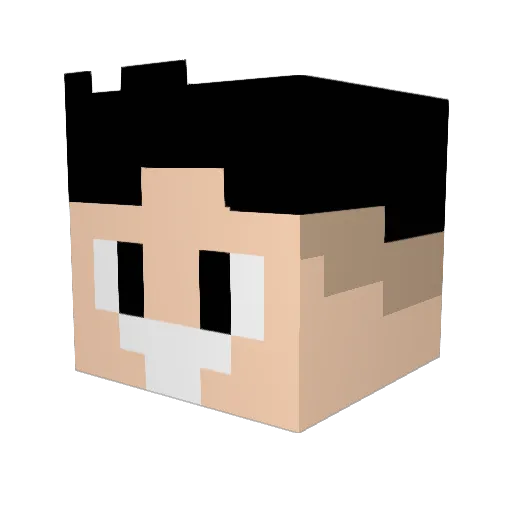 HBAMES Minecraft avatar head, 3D render
