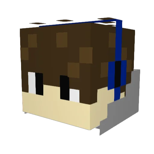 HBJ789 Minecraft avatar head, 3D render