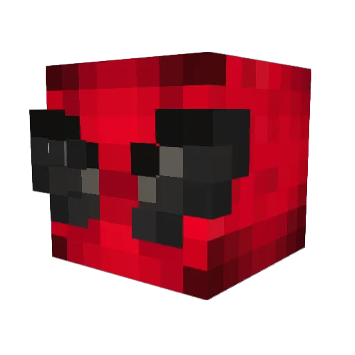 HBK_Dade Minecraft avatar head, 3D render