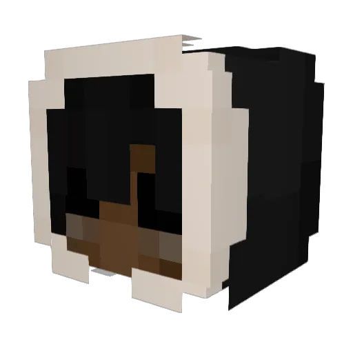 HBOOGIE Minecraft avatar head, 3D render