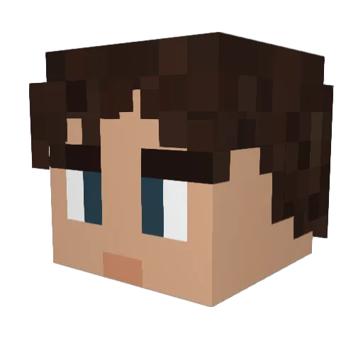 HBanks13 Minecraft avatar head, 3D render