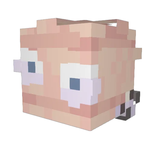 HBhunter_x Minecraft avatar head, 3D render