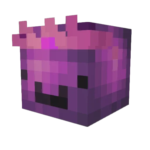 HBoti0905 Minecraft avatar head, 3D render