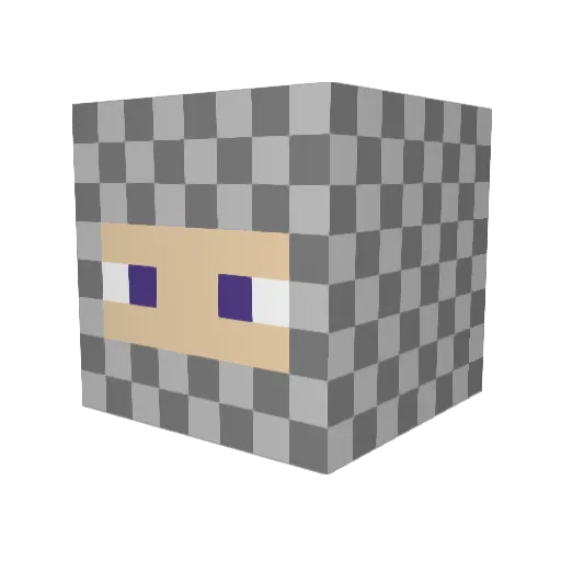HCBS Minecraft avatar head, 3D render