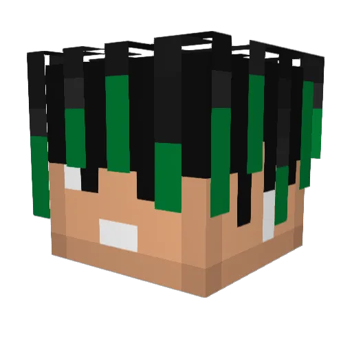 HCCAUA Minecraft avatar head, 3D render