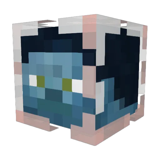 HCND Minecraft avatar head, 3D render