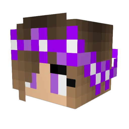 HCQ456 Minecraft avatar head, 3D render
