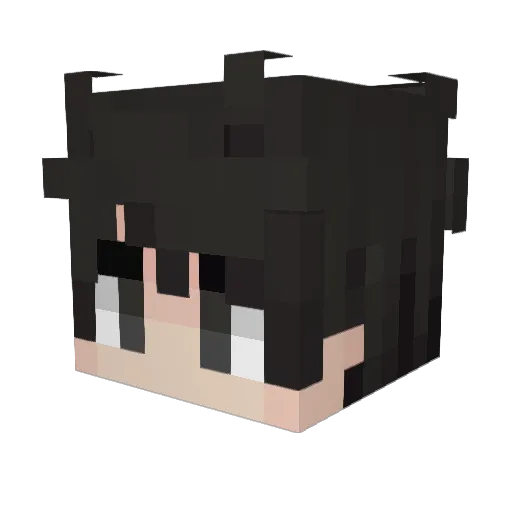 HCT Minecraft avatar head, 3D render