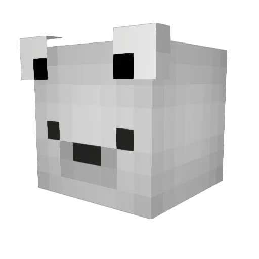 HC_Hayden Minecraft avatar head, 3D render
